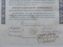 Jniusi Bajtrsak Szvetsge